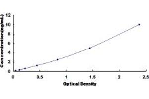 Typical standard curve (KISS1R ELISA Kit)