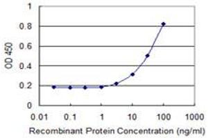 Detection limit for recombinant GST tagged RAB7L1 is 1 ng/ml as a capture antibody. (RAB7L1 antibody  (AA 1-203))