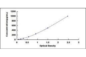 Urocortin (UCN) ELISA Kit