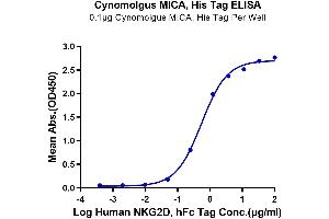 Immobilized Cynomolgus MICA, His Tag at 1 μg/mL (100 μL/well) on the plate. (MICA Protein (AA 1-284) (His tag))