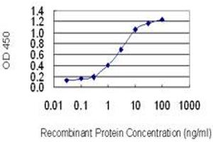 Detection limit for recombinant GST tagged ATOX1 is 0. (ATOX1 antibody  (AA 1-68))