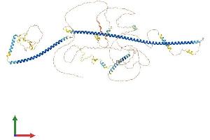 Protein Structure (PS) image for Trafficking Protein, Kinesin Binding 1 (TRAK1) (AA 1-939) protein (His tag) (ABIN7564116)