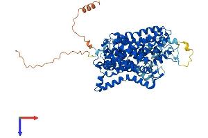 AlphaFold protein structure predicition of Mouse Recombinant Slc6a12 Protein, UniprotID P31651 (SLC6A12 Protein (AA 1-614) (His tag))