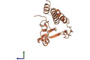 AlphaFold protein structure predicition of Human Recombinant MDS2 Protein, UniprotID Q8NDY4 (MDS2 Protein (AA 1-140) (His tag))