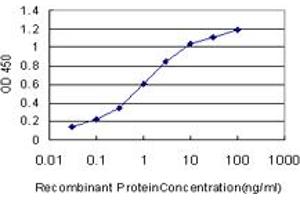 Detection limit for recombinant GST tagged GGA1 is approximately 0. (GGA1 antibody  (AA 1-89))