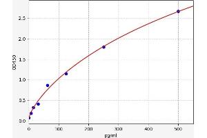 Vascular Endothelial Growth Factor C (VEGFC) ELISA Kit