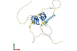 AlphaFold protein structure predicition of Human Recombinant RBM34 Protein, UniprotID P42696 (RBM34 Protein (AA 1-430) (His tag))