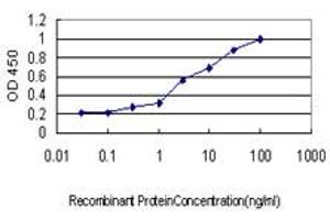 Detection limit for recombinant GST tagged ATP6V1C2 is approximately 0. (ATP6V1C2 antibody  (AA 188-253))