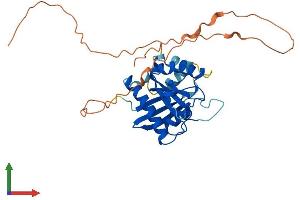 AlphaFold protein structure predicition of Mouse Recombinant Gimap6 Protein, UniprotID Q8K349
