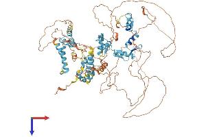 Zinc Finger Protein 110 (ZFP110) (AA 1-828) protein (His tag)