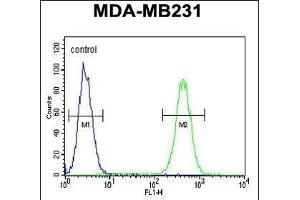 FKBP1A Antibody (C-term) (ABIN1882082 and ABIN2841885) flow cytometric analysis of MDA-M cells (right histogram) compared to a negative control cell (left histogram).