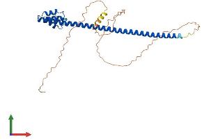 Protein Structure (PS) image for Testis Expressed 13B (TEX13B) (AA 1-312) protein (His tag) (ABIN7544937)