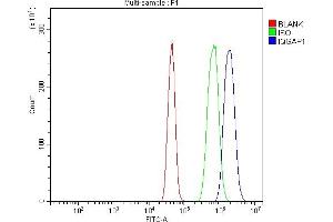Flow Cytometry analysis of A431 cells using anti- IQGAP1 antibody (ABIN7600509).