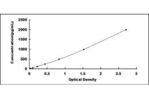Typical standard curve (CCL4 ELISA Kit)