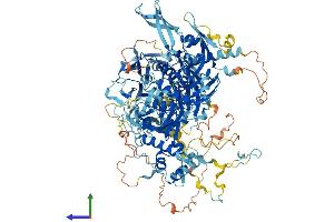 Protein Structure (PS) image for PAN2 Poly(A) Specific Ribonuclease Subunit Homolog (PAN2) (AA 1-1202) protein (His tag) (ABIN7554853)