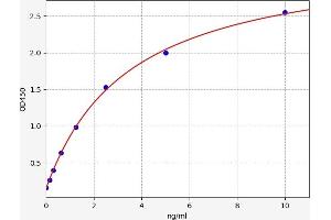 Typical standard curve (TdT ELISA Kit)