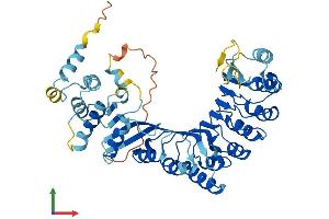 AlphaFold protein structure predicition of Human Recombinant PRAMEF27 Protein, UniprotID A3QJZ7 (PRAMEF27 Protein (AA 1-478) (His tag))
