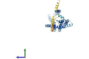 AlphaFold protein structure predicition of Human Recombinant KCNK1 Protein, UniprotID O00180