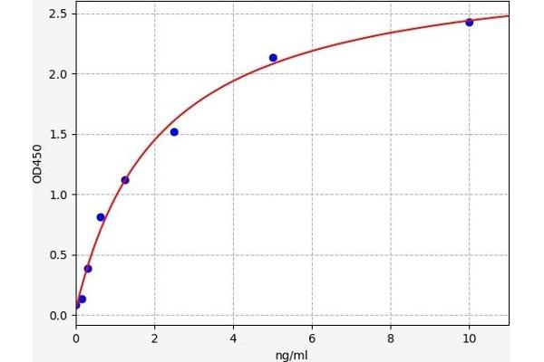 Oxytocin Receptor ELISA Kit