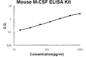Mouse M-CSF PicoKine ELISA Kit standard curve