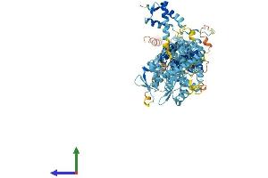 AlphaFold protein structure predicition of Mouse Recombinant Anapc2 Protein, UniprotID Q8BZQ7