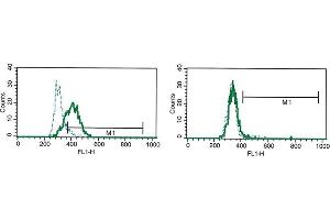 Flow Cytometry (FACS) image for anti-Interleukin-27 Subunit alpha (IL27) antibody (ABIN1107834) (IL27 antibody)