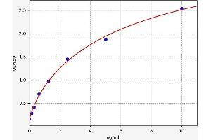 Paraoxonase 1 (PON1) ELISA Kit