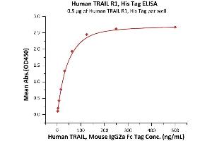 Immobilized Human TRAIL R1, His Tag (ABIN2181863,ABIN2181862) at 5 μg/mL (100 μL/well) can bind Human TRAIL, Mouse IgG2a Fc Tag (ABIN6933657,ABIN6938881) with a linear range of 2-63 ng/mL (QC tested).