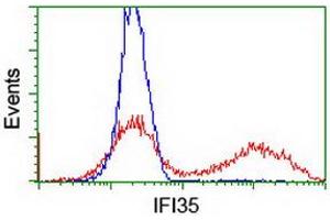 HEK293T cells transfected with either RC200929 overexpress plasmid (Red) or empty vector control plasmid (Blue) were immunostained by anti-IFI35 antibody (ABIN2454905), and then analyzed by flow cytometry. (IFI35 antibody)