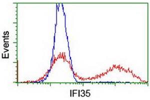 HEK293T cells transfected with either RC200929 overexpress plasmid (Red) or empty vector control plasmid (Blue) were immunostained by anti-IFI35 antibody (ABIN2454905), and then analyzed by flow cytometry.