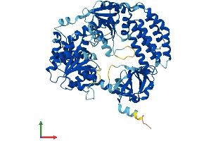 Protein Structure (PS) image for DEXH (Asp-Glu-X-His) Box Polypeptide 58 (DHX58) (AA 1-678) protein (His tag) (ABIN7553707)