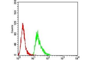 Flow cytometric analysis of Hela cells using PMS2 mouse mAb (green) and negative control (red). (PMS2 antibody  (AA 748-851))