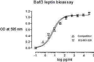 SDS-PAGE of Rat Leptin Recombinant Protein Bioactivity of Rat Leptin Recombinant Protein.