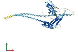 Protein Structure (PS) image for Huntingtin Interacting Protein 1 Related (HIP1R) (AA 1-1068) protein (His tag) (ABIN7554118)