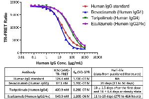 The half-lives of these 3 monoclonal antibodies currently in clinical use generally correlate with the binding affinity to FcRn. (Human FcRn binding Kit (TR-FRET))