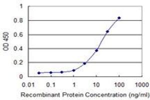 Detection limit for recombinant GST tagged CRTC2 is 0. (CRTC2 antibody  (AA 595-693))