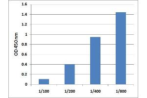 5MedCyd ELISA Standard Curve. (Global DNA Methylation ELISA Kit)