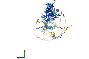 AlphaFold protein structure predicition of Mouse Recombinant Mta1 Protein, UniprotID Q8K4B0 (MTA1 Protein (AA 1-715) (His tag))