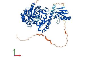 Protein Structure (PS) image for Dihydrouridine Synthase 2-Like (DUS2L) (AA 1-493) protein (His tag) (ABIN7561076)