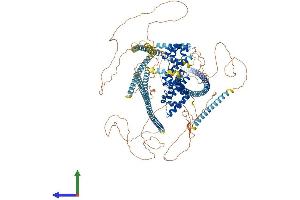 AlphaFold protein structure predicition of Human Recombinant PPFIA2 Protein, UniprotID O75334 (PPFIA2 Protein (AA 1-1257) (His tag))