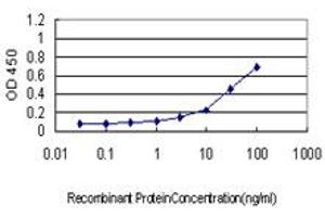 Detection limit for recombinant GST tagged IL13RA1 is approximately 1ng/ml as a capture antibody. (IL13 Receptor alpha 1 antibody  (AA 1-427))