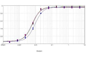 ELISA results of purified Goat Anti-CHICKEN IgG Peroxidase Conjugated Antibody tested against purified Chicken IgG. (Goat anti-Chicken IgG (Heavy & Light Chain) Antibody (HRP))