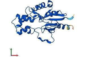 Protein Structure (PS) image for 5',3'-Nucleotidase, Cytosolic (NT5C) (AA 1-201) protein (His tag) (ABIN7549851)