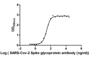 ELISA image for SARS-CoV-2 Spike S1 (RBD) protein (His tag,MYC tag) (ABIN6953168)