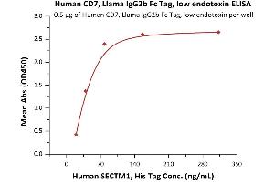 Immobilized Human CD7, Llama IgG2b Fc Tag, low endotoxin (ABIN6938916,ABIN6950992) at 5 μg/mL (100 μL/well) can bind Human SECTM1, His Tag (ABIN2181734,ABIN2181733) with a linear range of 10-39 ng/mL (QC tested). (CD7 Protein (CD7) (AA 26-180) (Fc Tag))