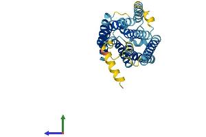 Protein Structure (PS) image for G Protein-Coupled Receptor 141 (GPR141) (AA 1-305) protein (His tag) (ABIN7548006)