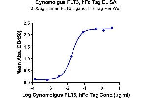 ELISA image for Fms-Related tyrosine Kinase 3 (FLT3) (AA 28-541) protein (Fc Tag) (ABIN7274655)