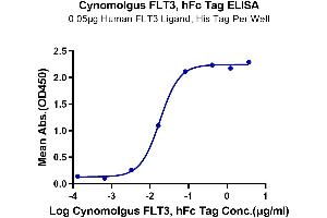 Immobilized Human FLT3 Ligand, His Tag at 0. (FLT3 Protein (AA 28-541) (Fc Tag))