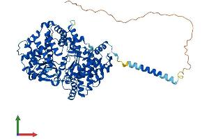 AlphaFold protein structure predicition of Human Recombinant ECE1 Protein, UniprotID P42892
