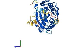 Protein Structure (PS) image for TP53 induced glycolysis regulatory phosphatase (TIGAR) (AA 1-269) protein (His tag) (ABIN7564474)